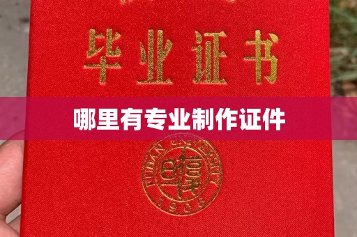威县哪里有专业制作证件
